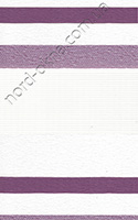 BH 2169 8 Violet