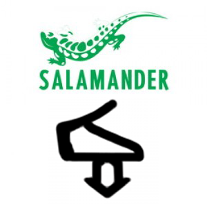 Salamander 300x300